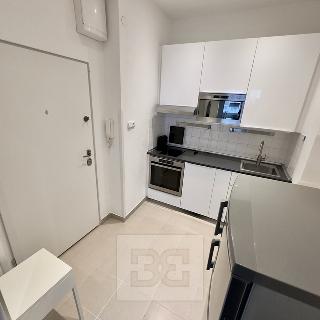 Pronájem bytu 1+1 31 m² Praha