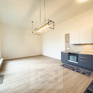 Pronájem bytu 2+kk 60 m² Praha, U plynárny