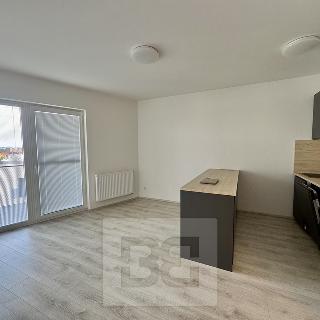 Pronájem bytu 2+kk 58 m² Olomouc, Wolkerova