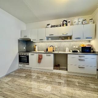 Pronájem bytu 2+1 68 m² Brno, Horácké náměstí