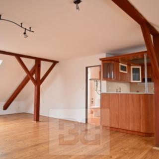 Pronájem bytu 1+kk a garsoniéry 50 m² Vyškov -Předměstí