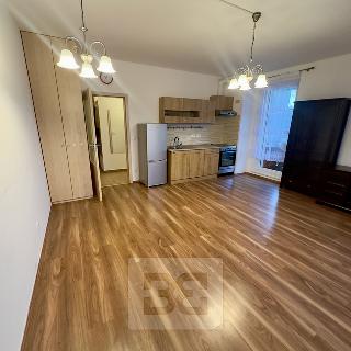 Pronájem bytu 2+kk 45 m² Praha, U uhříněveské obory