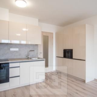 Pronájem bytu 1+kk a garsoniéry 33 m² Praha Háje, Výstavní