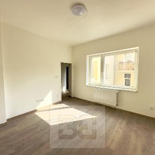 Pronájem bytu 3+1 55 m² Děčín, Na Úpatí