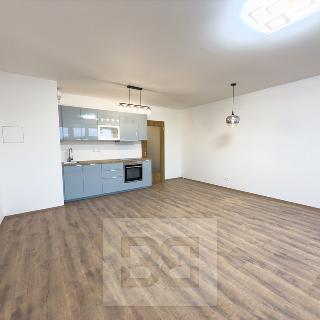 Pronájem bytu 1+kk a garsoniéry 37 m² Liberec, Švermova