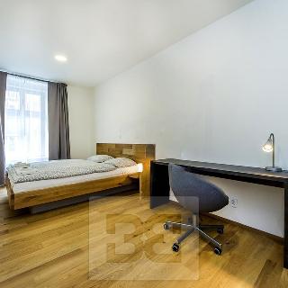 Pronájem pokoje 27 m² Praha, Londýnská