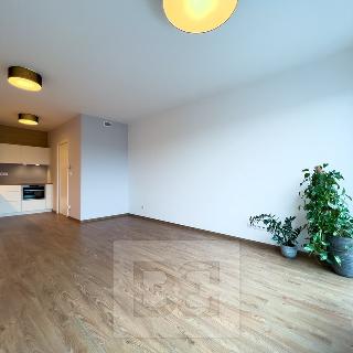 Pronájem bytu 2+kk 49 m² Praha, Stochovská