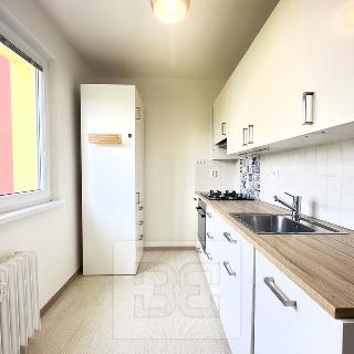 Pronájem bytu 2+1 55 m² Praha, Jasmínová