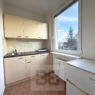 Pronájem bytu 1+kk a garsoniéry 30 m² Praha, Bachova