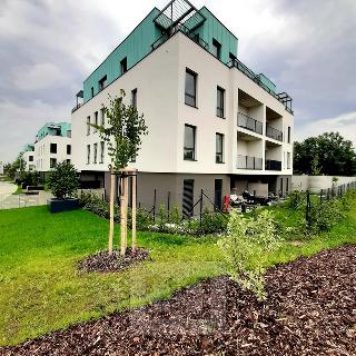 Pronájem bytu 4+kk 75 m² Roztoky, Lederova