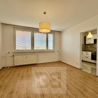 Pronájem bytu 2+1 47 m² Hodonín, Polní