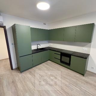 Pronájem bytu 2+kk 70 m² Praha, Malešická