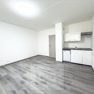 Pronájem bytu 1+kk a garsoniéry 30 m² Praha, Pivcova