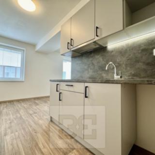 Pronájem Ostatních komerčních prostor 30 m² Střelice