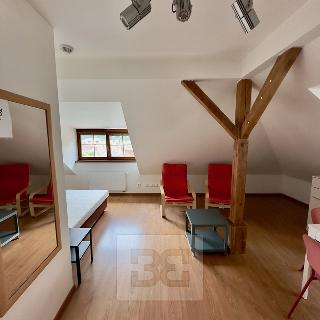 Pronájem bytu 1+1 35 m² Karlštejn, 