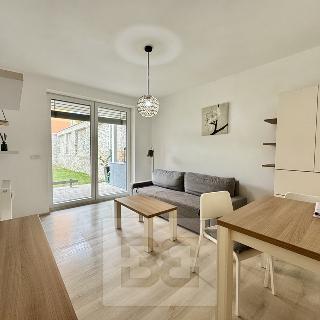 Pronájem bytu 1+kk a garsoniéry 40 m² Brno, Husovická