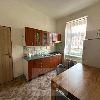 Pronájem bytu 2+1 50 m² České Budějovice, Ledenická