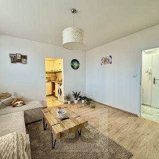 Pronájem bytu 2+1 47 m² Hodonín, Polní