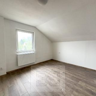 Pronájem bytu 2+1 45 m² Děčín, Na Úpatí