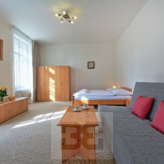 Pronájem bytu 2+kk 47 m² Praha, V jirchářích