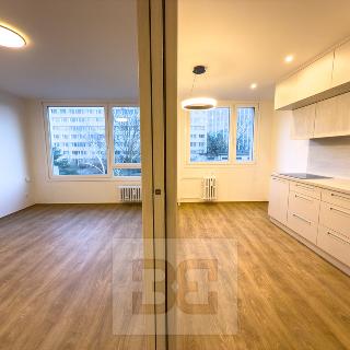 Pronájem bytu 3+1 70 m² Praha, Pujmanové