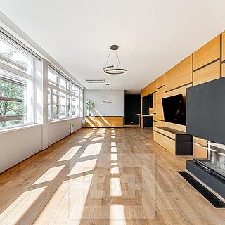 Prodej bytu 5+1 a více 230 m&sup2; Praha