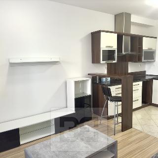 Pronájem bytu 1+kk a garsoniéry 33 m² Praha, V osikách