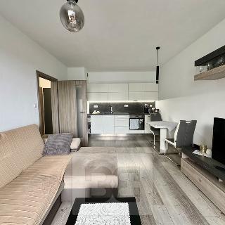 Pronájem bytu 2+kk 48 m² Moravský Krumlov, Husova