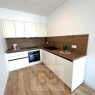 Pronájem bytu 2+kk 60 m² České Budějovice, Vrbenská