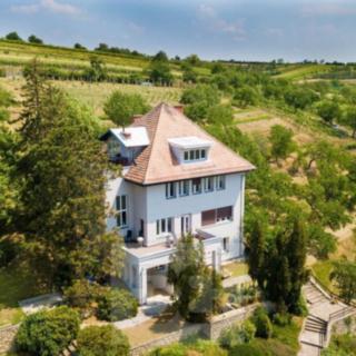 Prodej rodinného domu 557 m² Nosislav