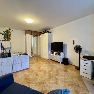 Pronájem bytu 1+kk a garsoniéry 53 m² Brno, Úvoz