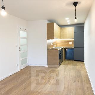 Pronájem bytu 2+kk 43 m² Praha, Nad přehradou