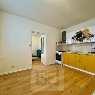 Pronájem bytu 1+1 36 m² Brno, Novoměstská