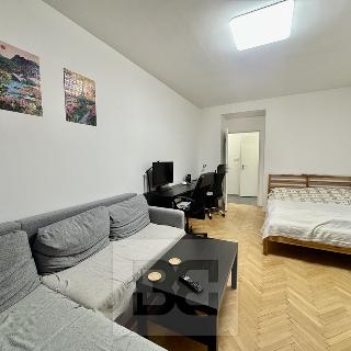 Pronájem bytu 1+1 41 m² Brno, Rezkova