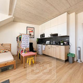 Pronájem bytu 1+kk, garsoniery 38 m&sup2; Brno