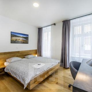 Pronájem pokoje 21 m² Praha