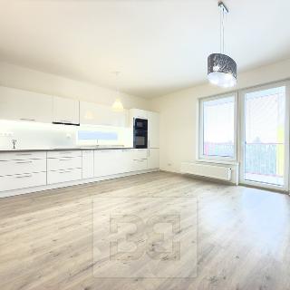 Pronájem bytu 2+kk 56 m² Praha, Malkovského