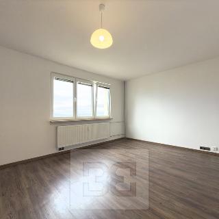 Pronájem bytu 1+1 39 m² Liberec, Borový vrch