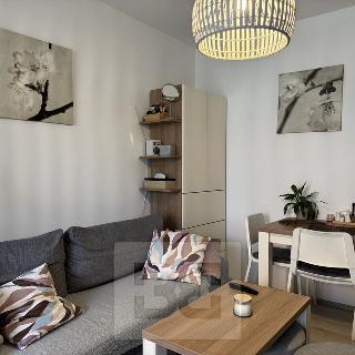 Pronájem bytu 1+kk, garsoniery 40 m² Brno