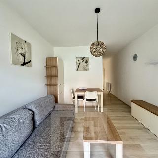 Pronájem bytu 1+kk a garsoniéry 40 m² Brno, Husovická