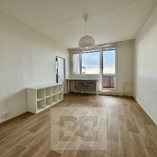 Pronájem bytu 1+1 28 m² Brno, Haškova