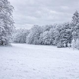 Prodej stavební parcely 1079 m&sup2; Maršovice