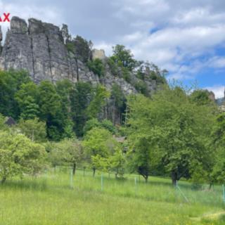 Pronájem zahrady 1500 m² Malá Skála