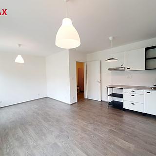 Pronájem bytu 1+kk, garsoniery 33 m&sup2; Liberec