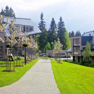 Prodej bytu 1+kk, garsoniery 37 m² Harrachov