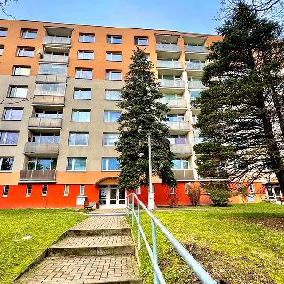 Pronájem bytu 2+kk 39 m² Liberec, Jáchymovská