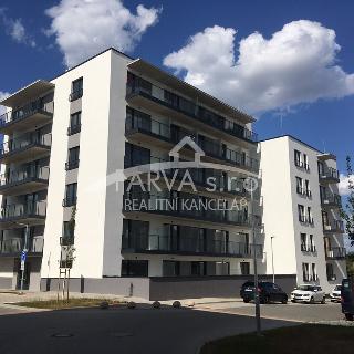 Pronájem bytu 2+kk 63 m² Plzeň, Františka Kováříka