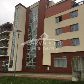 Pronájem bytu 2+kk 54 m² Plzeň, Na Chmelnicích