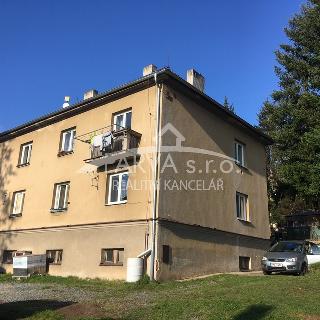 Pronájem bytu 2+kk 58 m² Plasy, Vinice