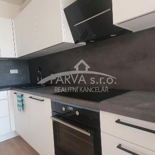 Pronájem bytu 2+kk 58 m² Plzeň, Goldscheiderova